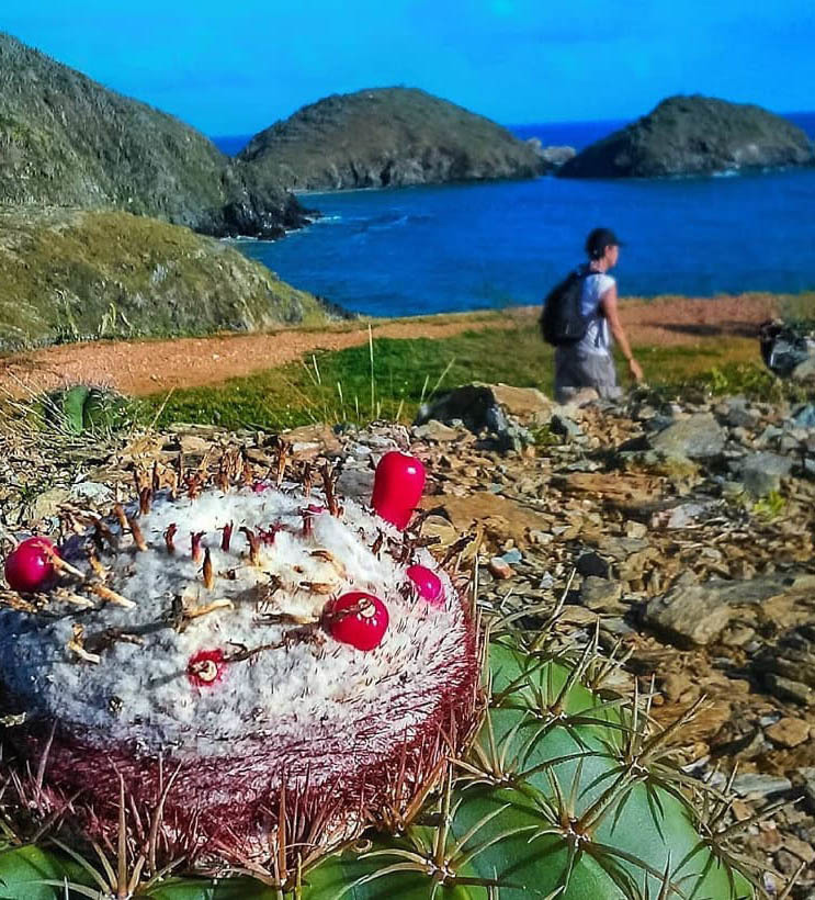 Остров Маргарита — Жемчужина Карибского моря